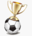 logo place de foot